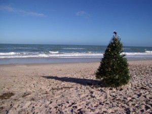 That tree looks lonely... probably because it's missing bikini Annie!