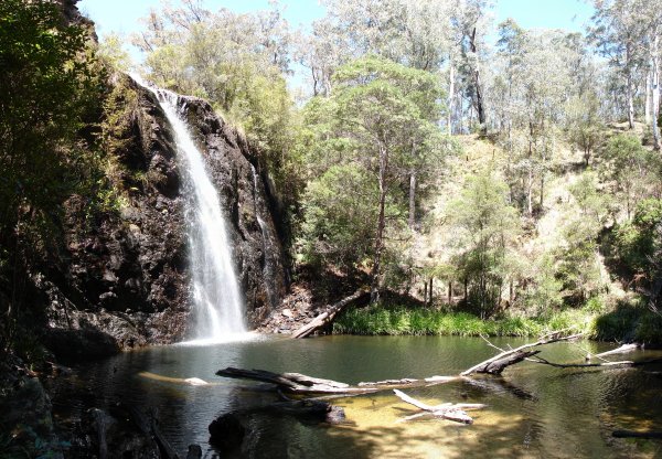 Washpool National Park