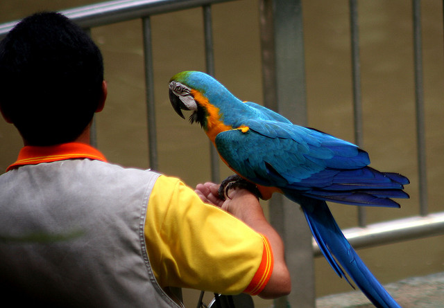 Kuala Lumpur Bird Park