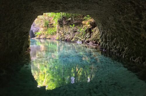 The Ultimate Guide to Cancun's Cenotes: Best Tours, Tips & Hidden Gems