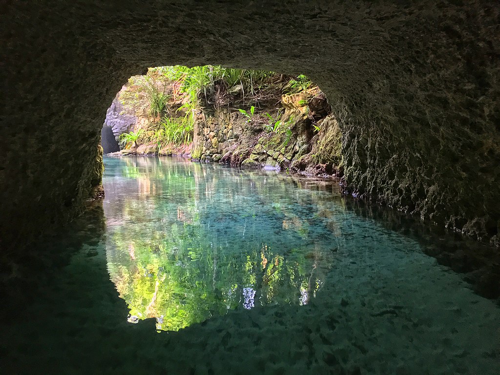 The Ultimate Guide to Cancun's Cenotes: Best Tours, Tips & Hidden Gems