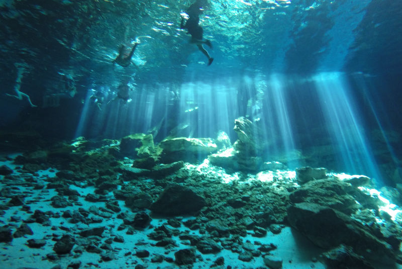 The Ultimate Guide to Cancun's Cenotes: Best Tours, Tips & Hidden Gems