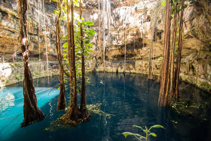 The Ultimate Guide to Cancun's Cenotes: Best Tours, Tips & Hidden Gems